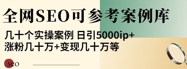 图片[1]-优秀网站SEO实操案例, 日引5000ip+涨粉百W+变现几十W-虚拟资源网