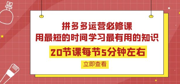 图片[1]-拼多多开店运营课程：用最短的时间学好拼多多运营-虚拟资源网