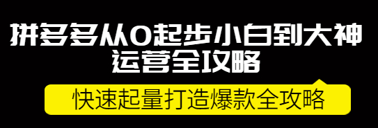 图片[1]-拼多多开店怎么运营：拼多多小白到大神运营全攻略，快速起量打造10W+爆款-虚拟资源网